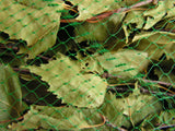 Birch sauna whisk birch leaf