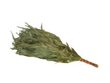 Eucalyptus Sauna Whisk